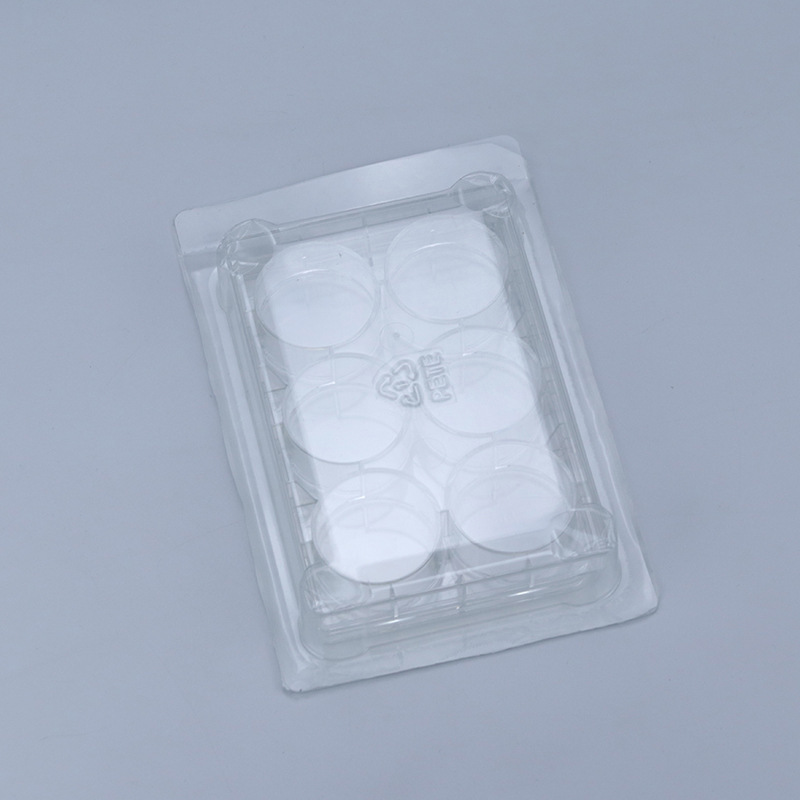 Supply of 6-hole cell panels, flat floors, TC treatment, high-transparent polystyrene laboratory consumables.