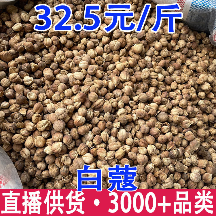 豆蔻 肉豆蔻 白豆蔻 批發 量大從優