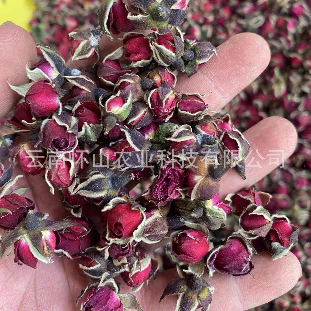 Goldside rose tea, goldside roses, real Yunnan plateau dry flowers.