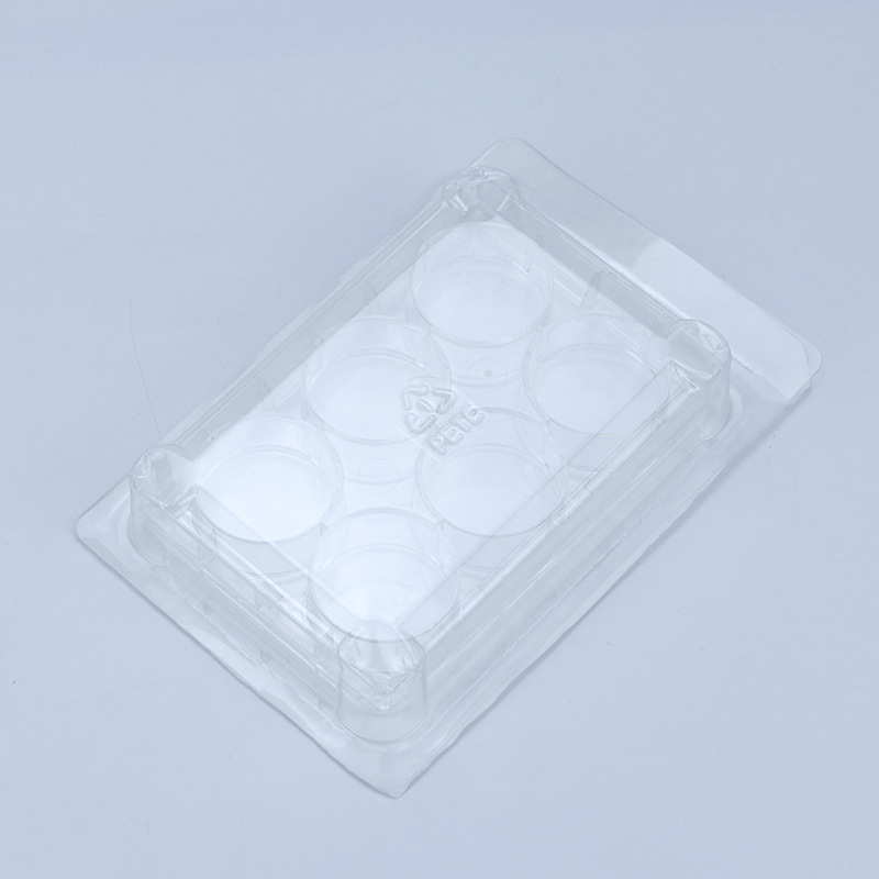 Supply of 6-hole cell panels, flat floors, TC treatment, high-transparent polystyrene laboratory consumables.