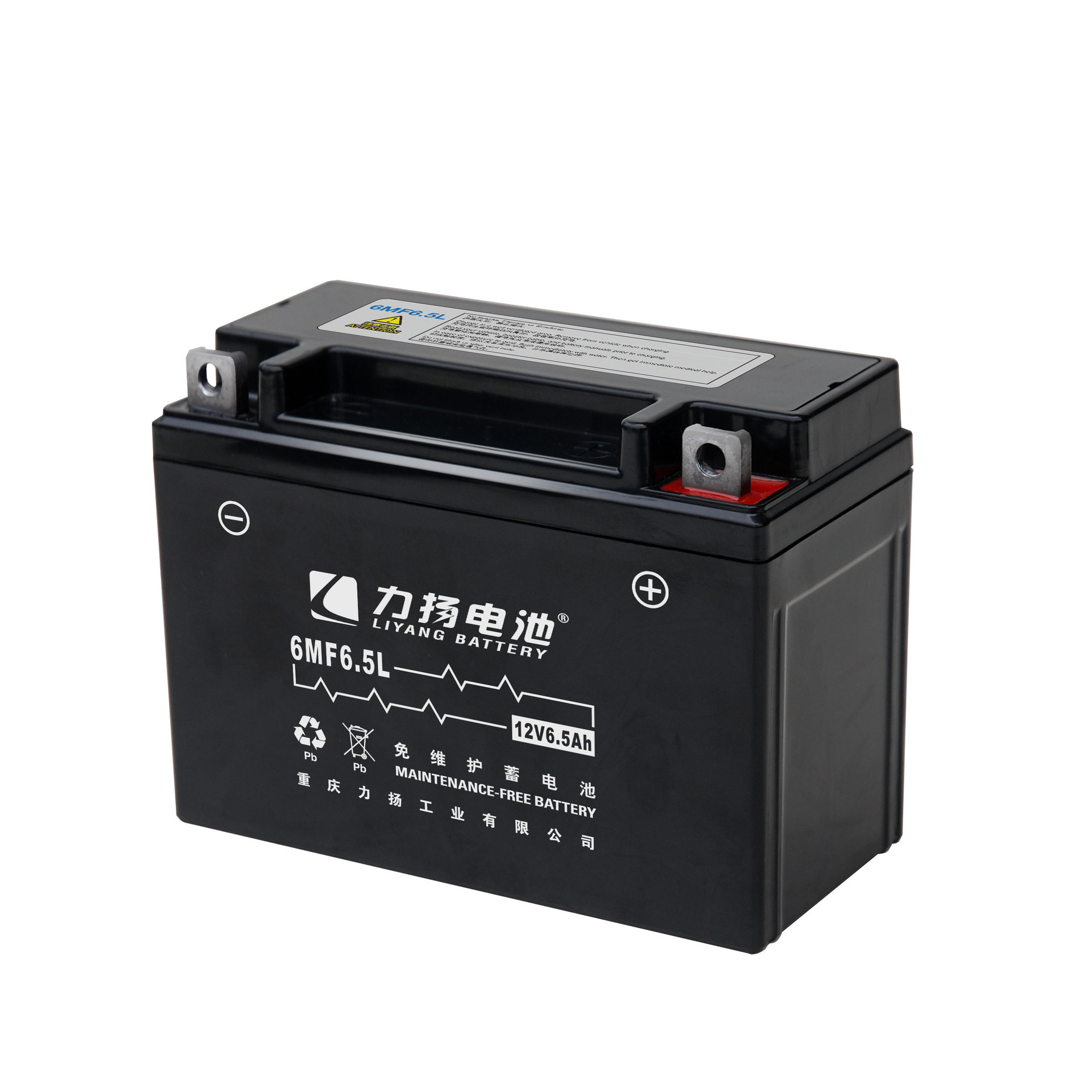 Chongqing Battery Production and Marketing Unit/Weedmber Maintenance Release 6MF6.5L