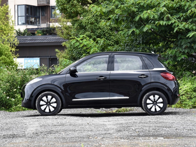 A 15-inch general-wheel cap for a new energy vehicle.