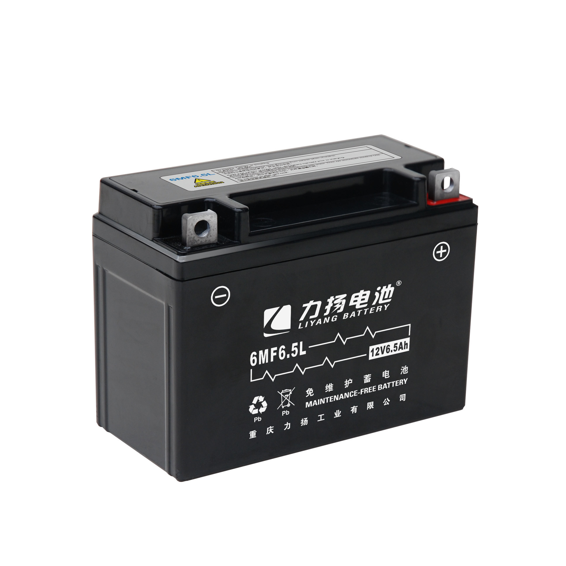 Chongqing Battery Production and Marketing Unit/Weedmber Maintenance Release 6MF6.5L