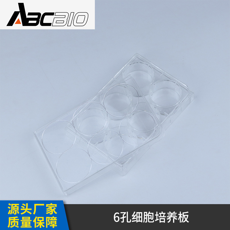 Supply of 6-hole cell panels, flat floors, TC treatment, high-transparent polystyrene laboratory consumables.