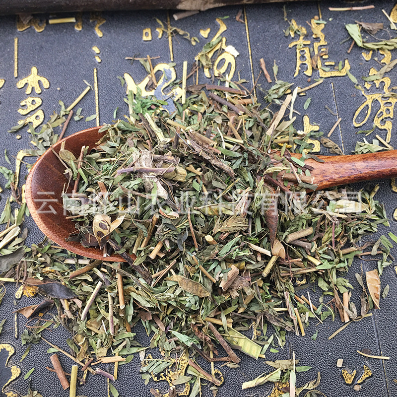 軟肝草 鐵甲草 益肝草雲南中草藥材批發 量大從優