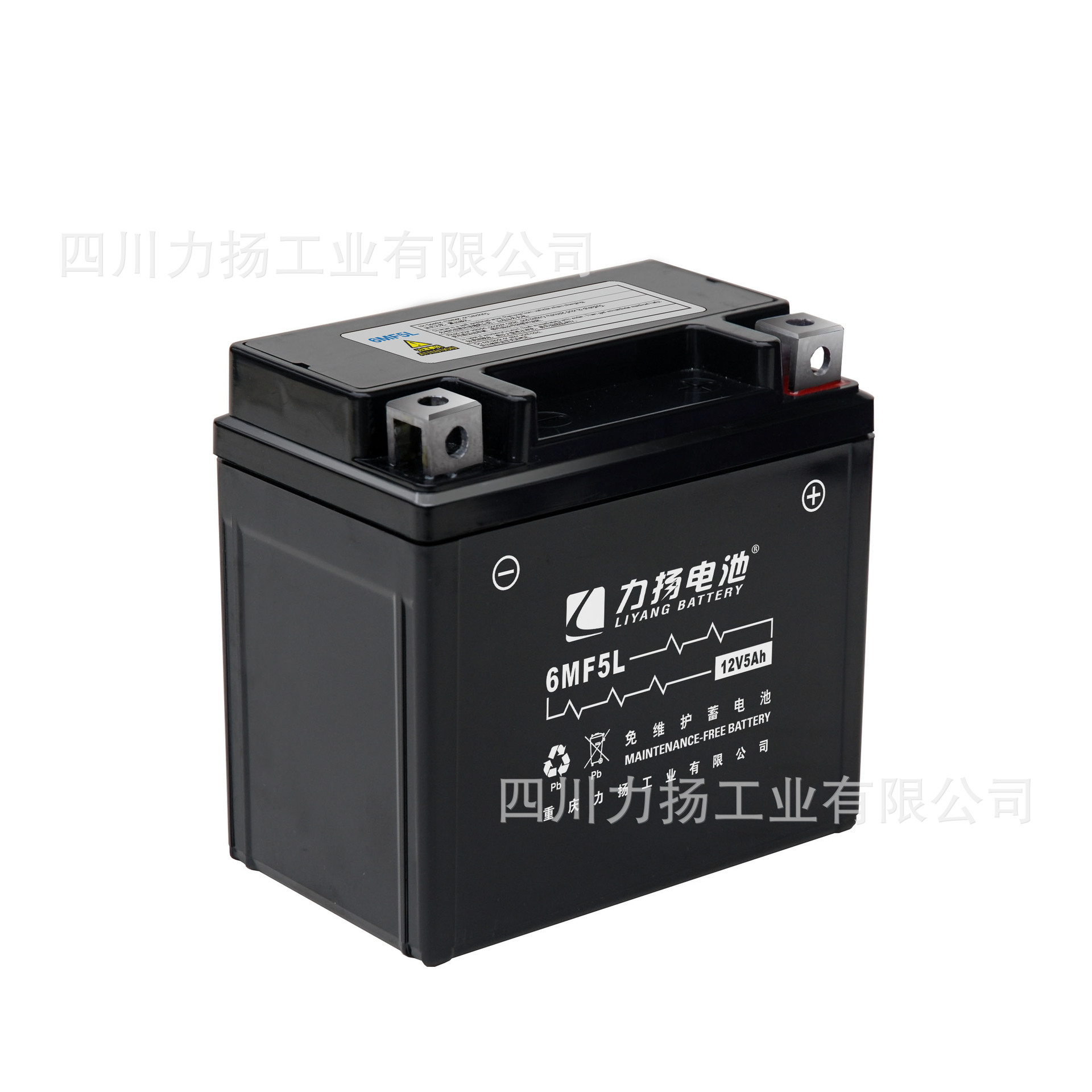 It's a 12V General General Power Flow Motorcycle battery, original, quality assurance!