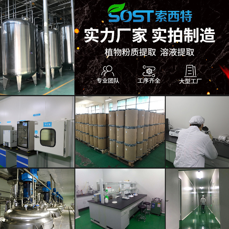 桃仁提取物 速溶桃仁粉 规格齐全 工厂现货 量大从优 可寄样品