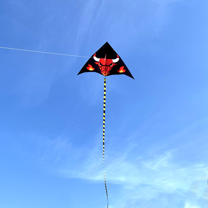 A new kite liner with a 3-metre red ox kite umbrella.