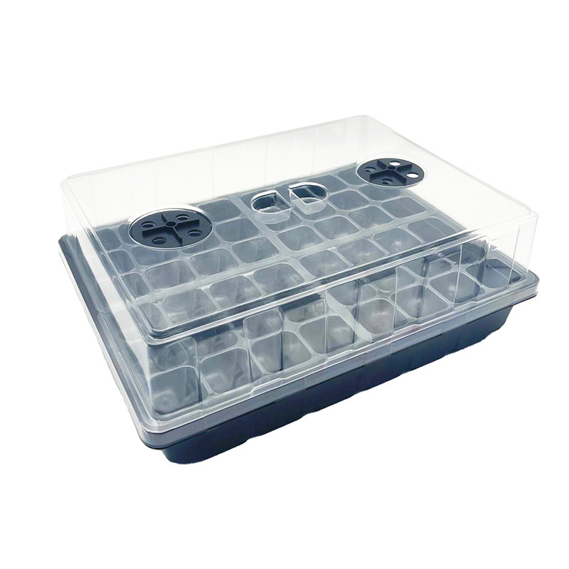 Một gia đình trồng vườn cây với 48 cây mọc sáng