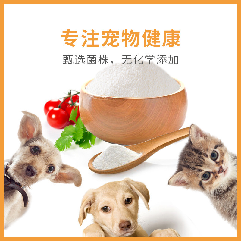 廠家批發寵物益生菌原料凍乾粉 動物飼料益生菌原粉 乾酪乳桿菌