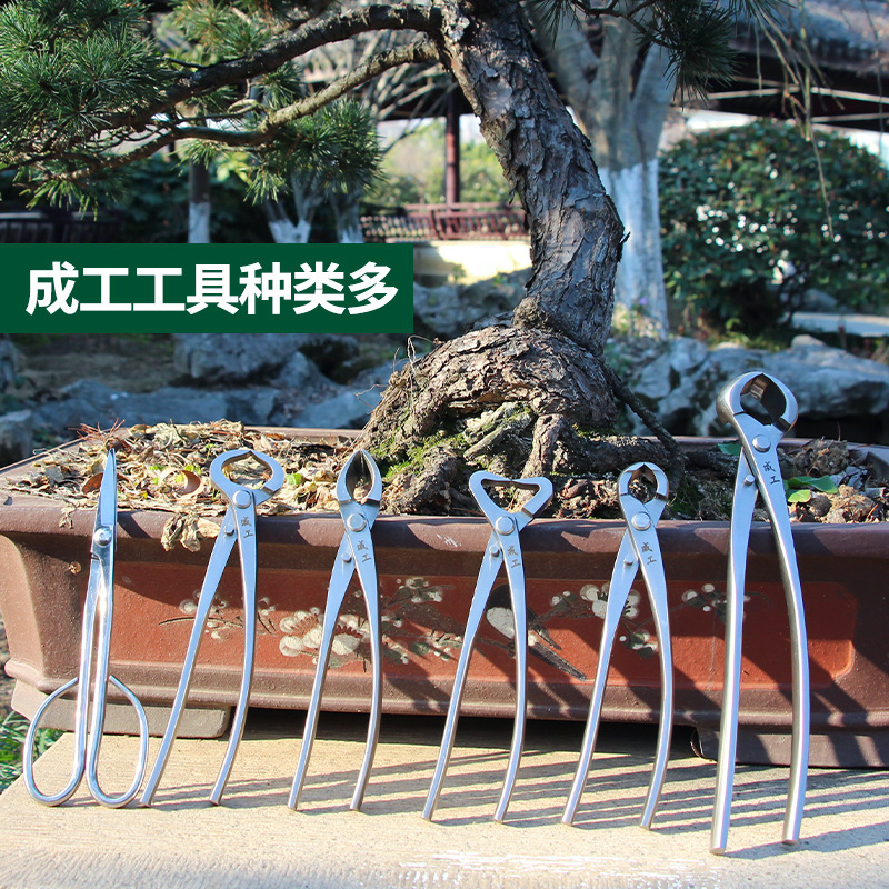 The factory customised the stainless steel ball season cutter, the horticultural cutter, and the cutter set.