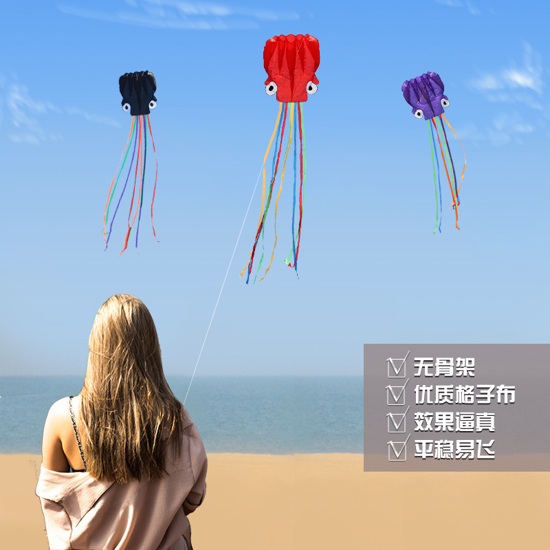 A kite, a wholesale kite, a skeletal cylindrical skeletal 4m-55m octopus kite.