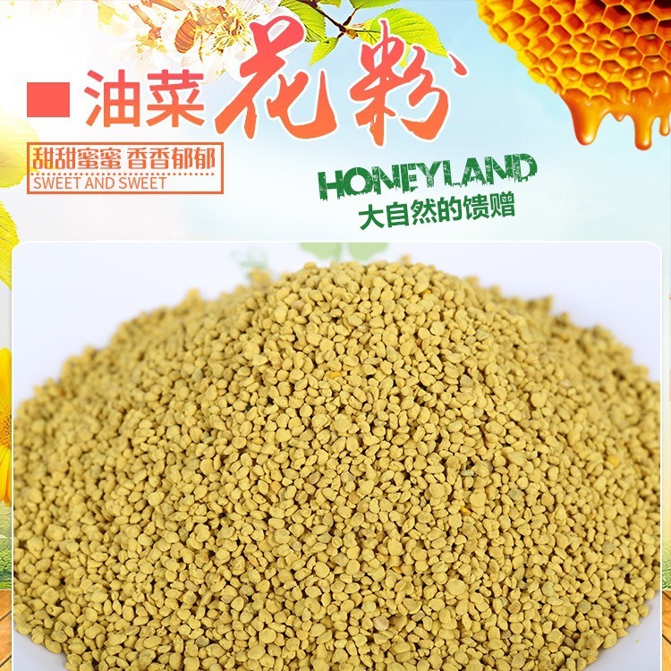 精選青海油菜花粉大顆粒純油菜蜂花粉現貨廠家批發散裝一件代發