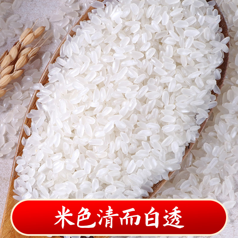 Two and a half kilos of rice in the northeast and a bag of grains of rice to be distributed in the rice season.