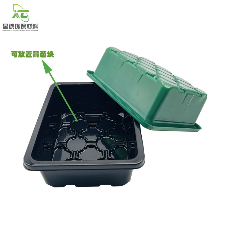3 tập hợp 12 lỗ trong hộp trẻ em và 10 bộ nhãn thực vật của các bộ dụng cụ trong thùng trẻ em