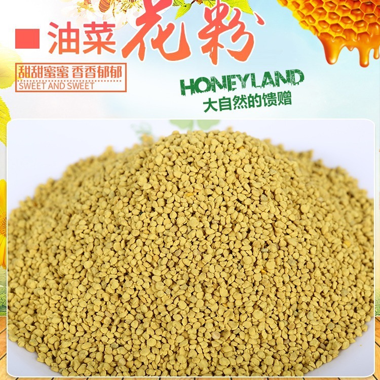 精選青海油菜花粉大顆粒純油菜蜂花粉現貨廠家批發散裝一件代發