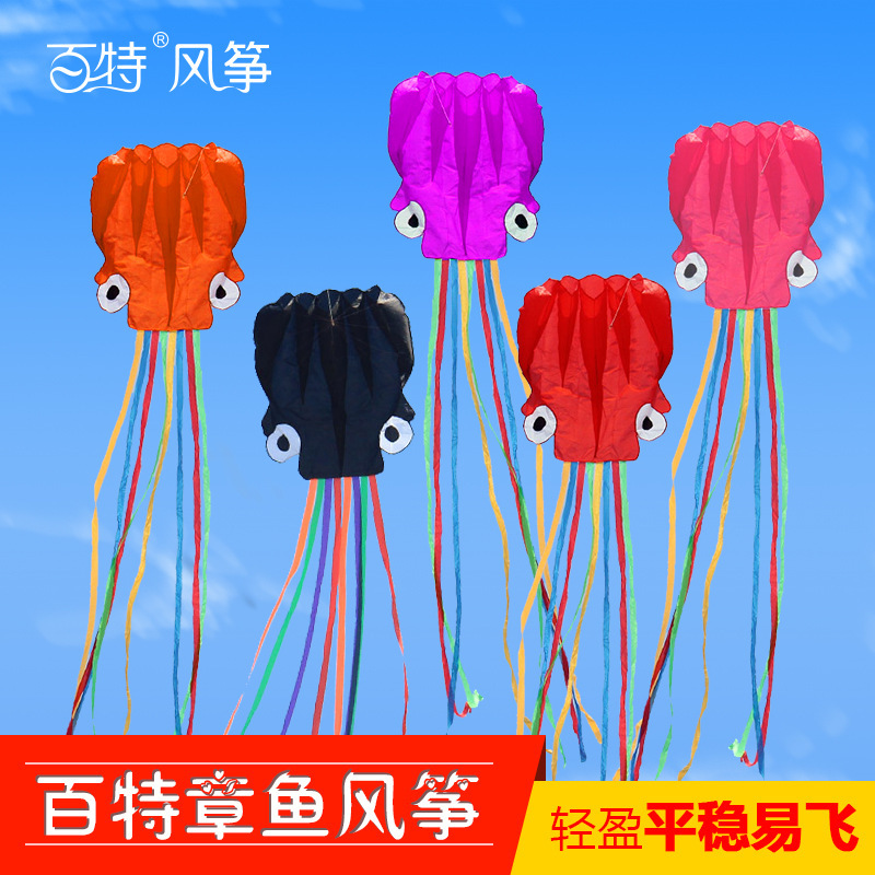 A kite, a wholesale kite, a skeletal cylindrical skeletal 4m-55m octopus kite.