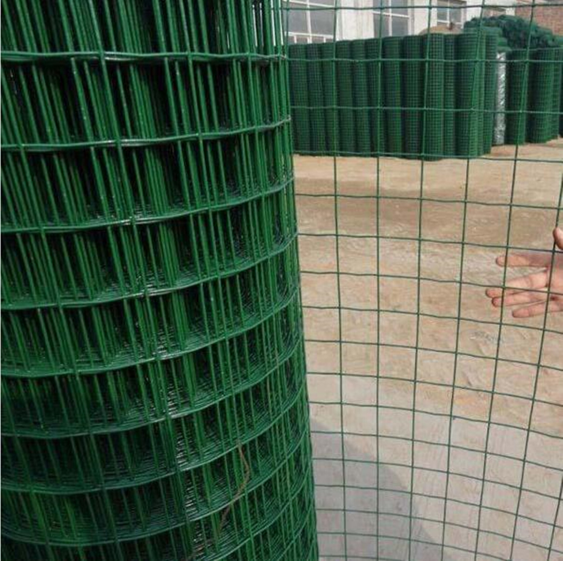 Hebei Farmer's Fence Fence Network, chicken barbed wire, horticultural ring of Dutch Net Loop corn.