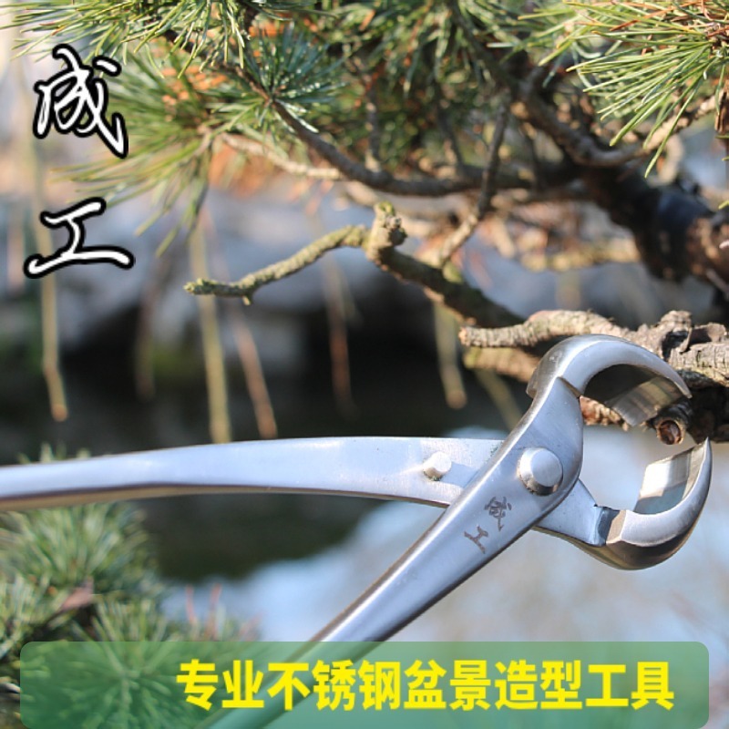 The factory customised the stainless steel ball season cutter, the horticultural cutter, and the cutter set.