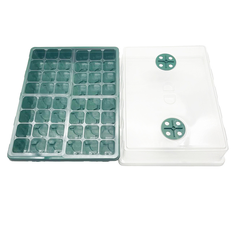 Một gia đình trồng vườn cây với 48 cây mọc sáng