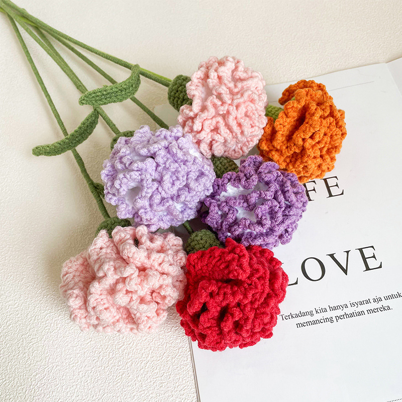 Carnation Hooks 손으로 만든 다이얼이 달린 다이얼이 달린 dysentery packs full of home-made hook-weaved mother's day for mom.