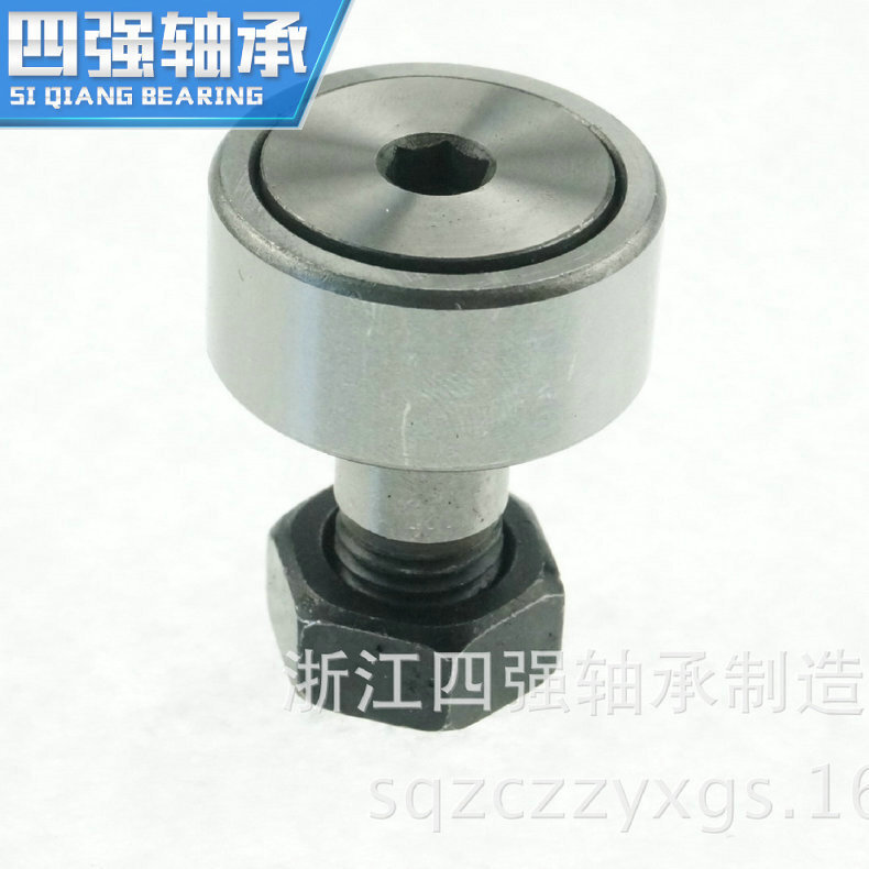 The manufacturer produces roller needle bearing CF20.