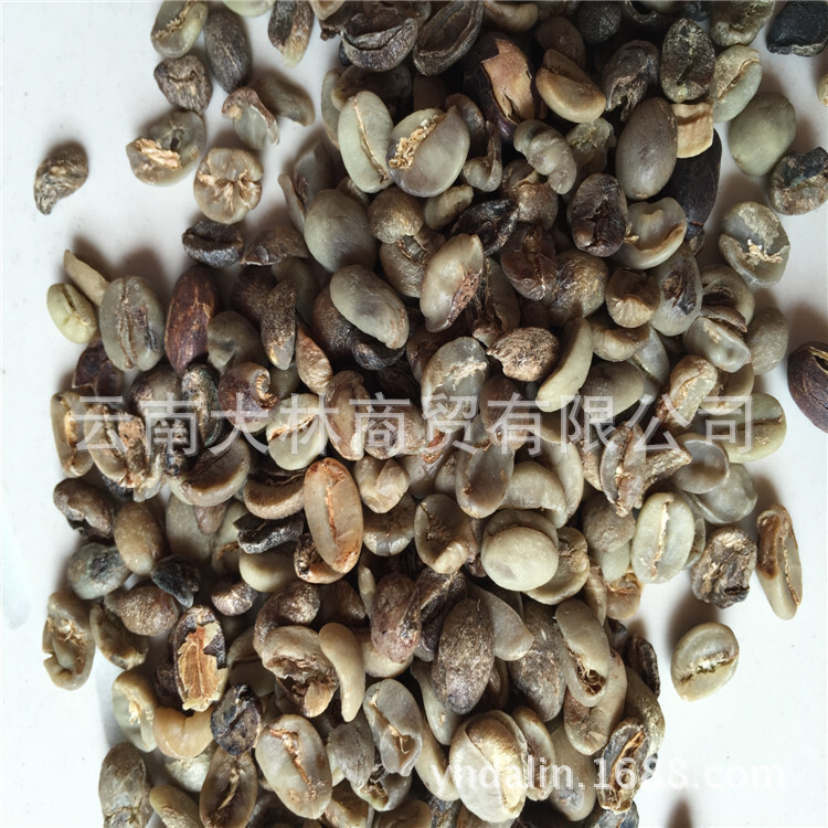 机捡米 咖啡豆 云南小粒咖啡豆 次级 做粉 提取物 原产地 批发