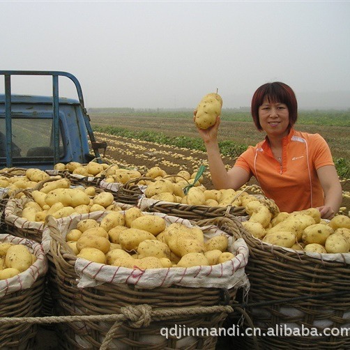 Factory supplies, potatoes, potatoes.