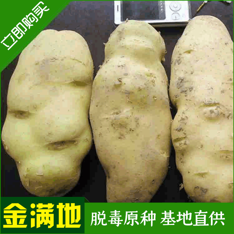 Nguồn cung cấp hàng của công ty chứa đầy Dutch 7.