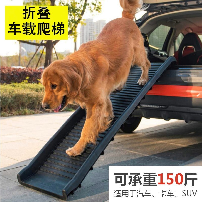 Con thú nuôi gấp ở cầu thang, và xe nhựa trượt tuyết leo lên thang, mèo và chó.