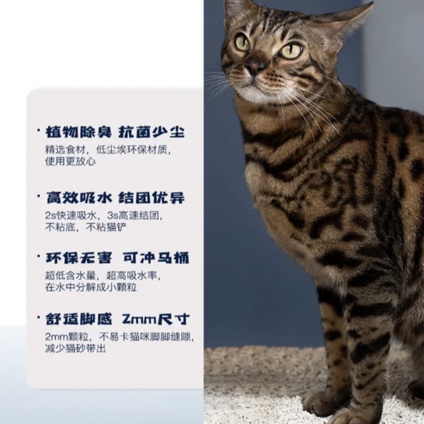 严选卫林凯纯豆腐猫砂原味除臭低沉cat litter6L 2.5kgA级