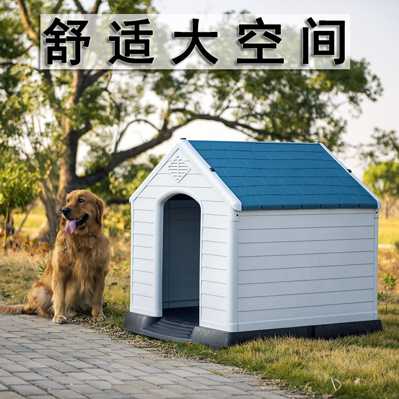Nhà chó bên ngoài nhà chó ngoài bãi chứa nước.