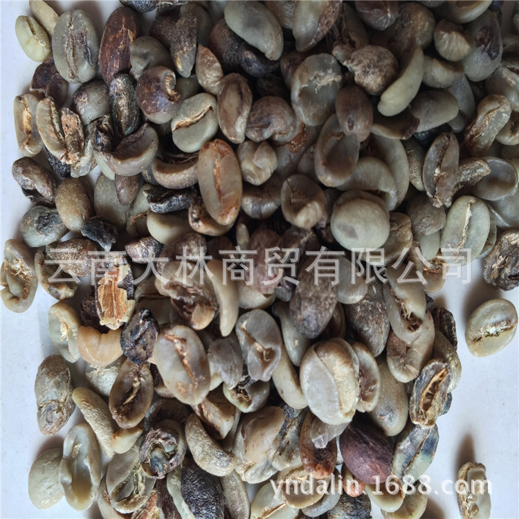 机捡米 咖啡豆 云南小粒咖啡豆 次级 做粉 提取物 原产地 批发
