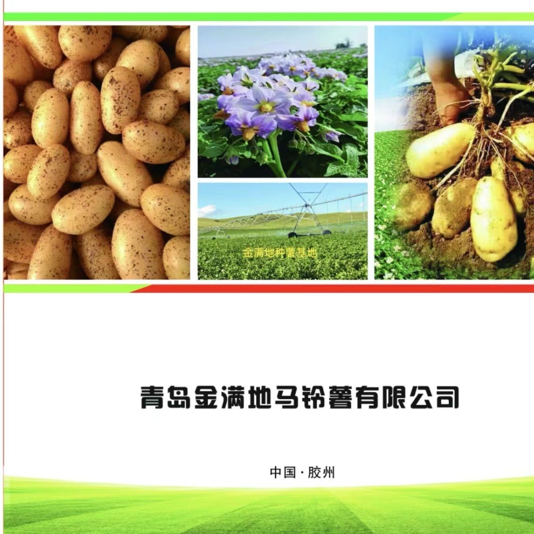 Tôi sẽ cung cấp một mẻ khoai tây, và tôi sẽ trồng một căn cứ khoai tây với một hạt giống đầy đất.