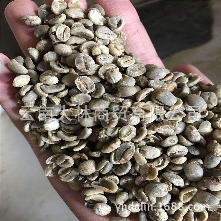 空壳豆 云南保山小粒咖啡 AB豆级 无黑豆 碎豆 批发 磨粉 提取