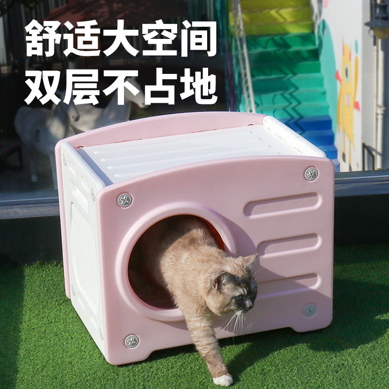 Mèo đi ra chiếc xe chở thú nuôi với lồng mèo và túi thỏ.