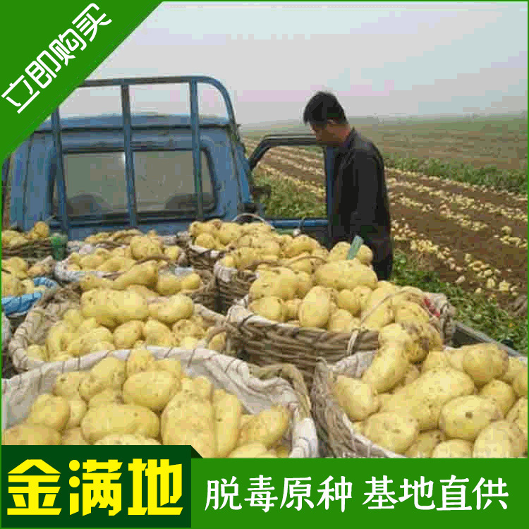 Factory supplies, potatoes, potatoes.
