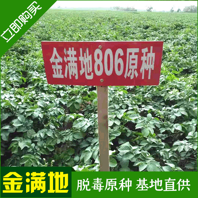 Nguồn cung cấp đầy đủ từ 806 nguyên bản và khoai tây mới và khoai tây.