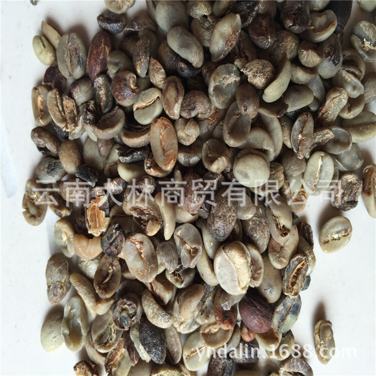 机捡米 咖啡豆 云南小粒咖啡豆 次级 做粉 提取物 原产地 批发