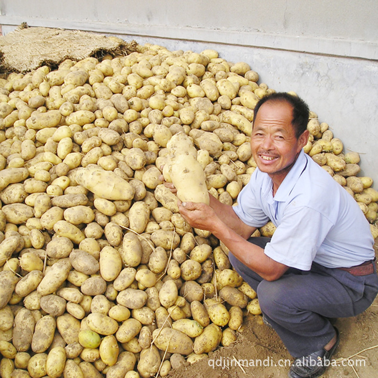Factory supplies, potatoes, potatoes.