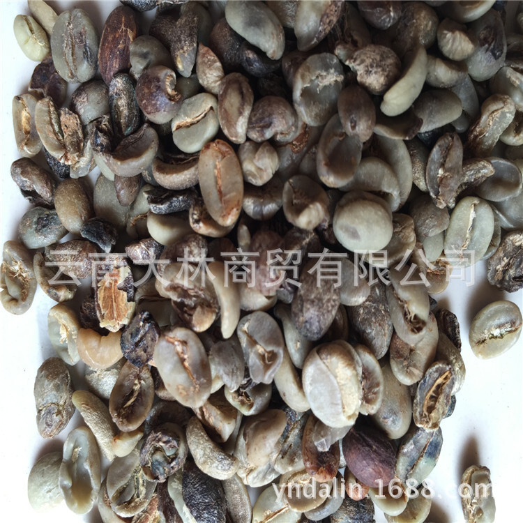 机捡米 咖啡豆 云南小粒咖啡豆 次级 做粉 提取物 原产地 批发