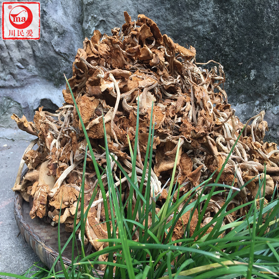 Kawamin thích Sichuan, người sản xuất trà và nấm để cung cấp thức ăn lâu dài và phục vụ các sản phẩm từ nhà hàng của nhà hàng.