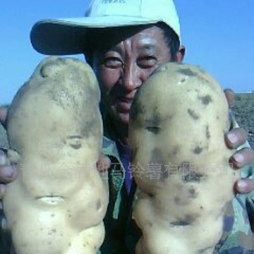 Nguồn cung cấp hàng của công ty chứa đầy Dutch 7.