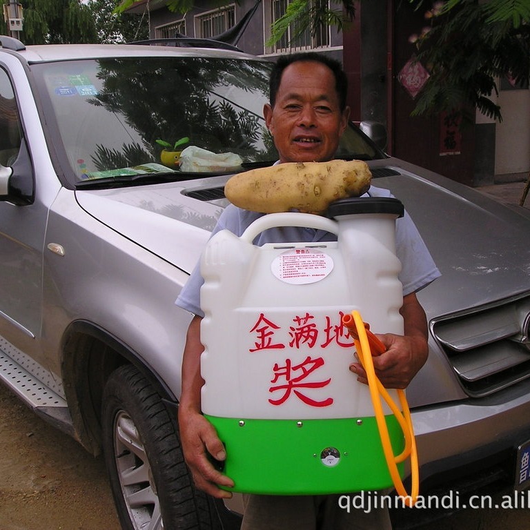Nguồn cung cấp đầy khoai tây Hà Lan, 6.0% nước, khoai tây Hà Lan.