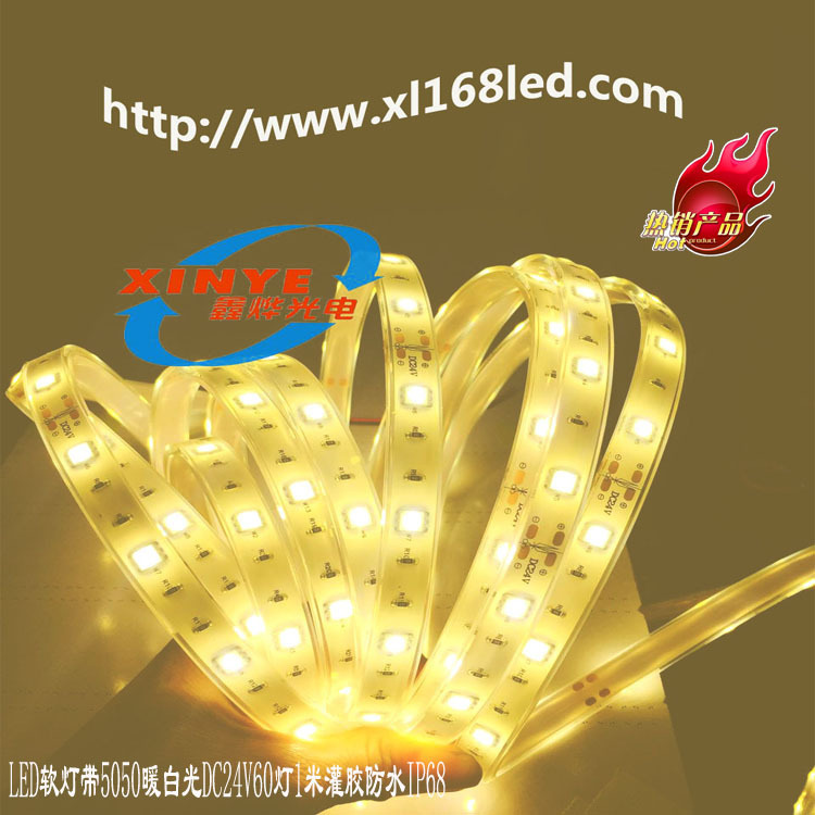 Seven coloured LEDs with 5050 high-colored outdoor waterproof gel lamps 60 light 1 meter DC12