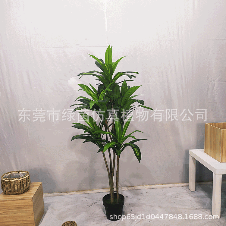 Trung Âu, nồi sắt cạnh vàng, 150/170/50 cm.