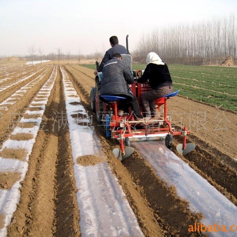 Natri hạt khoai tây nguyên chất có thể được trồng trực tiếp để giải độc khoai tây.